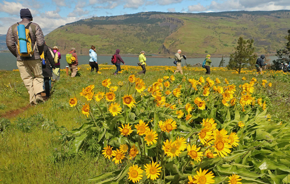 Friends of the Columbia Gorge Web Interview